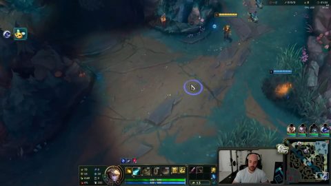 Solorenektononly and the support incident